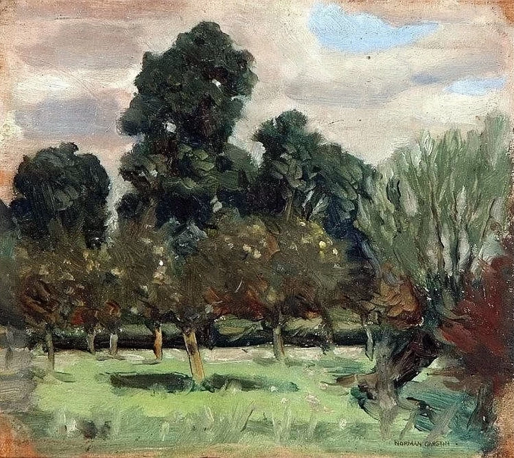 Paesaggio boschivo